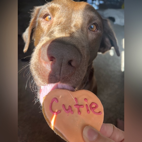 Meet Your Posher, Amber! - Picture 3 of 3